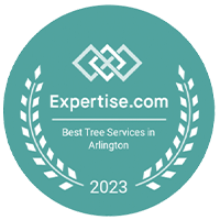 Best Tree Services Award