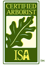 Certified Arborist ISA Fort Worth