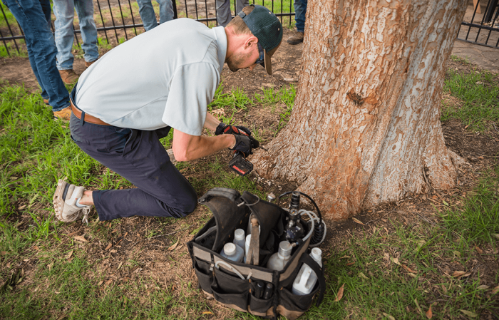 Top Benefits Of Hiring An Arborist | Price Right Trees