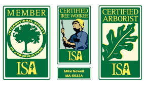 ISA member, ISA certified tree worker, ISA certified arborist
