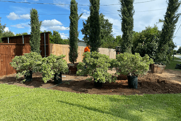 Landscaping installation