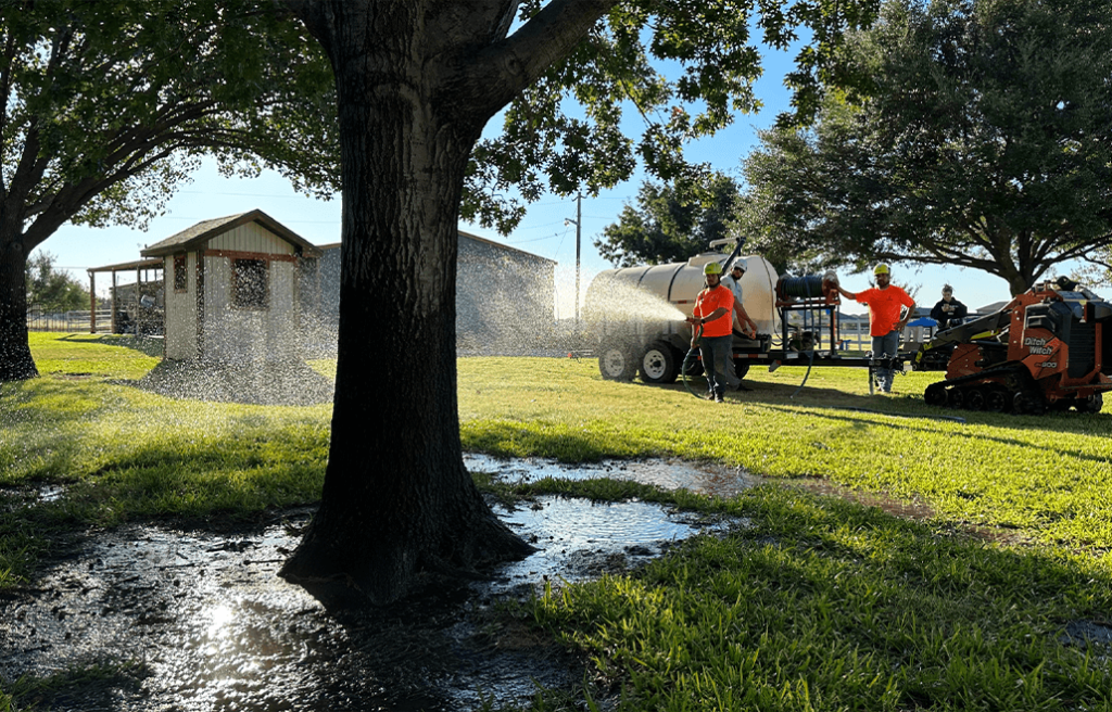 Spring Tree Care: Essential Tips for Healthy Growth