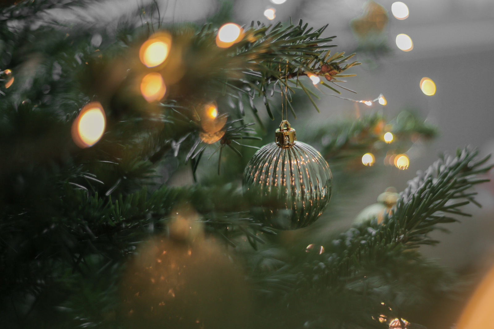 Christmas tree with a Christmas ball