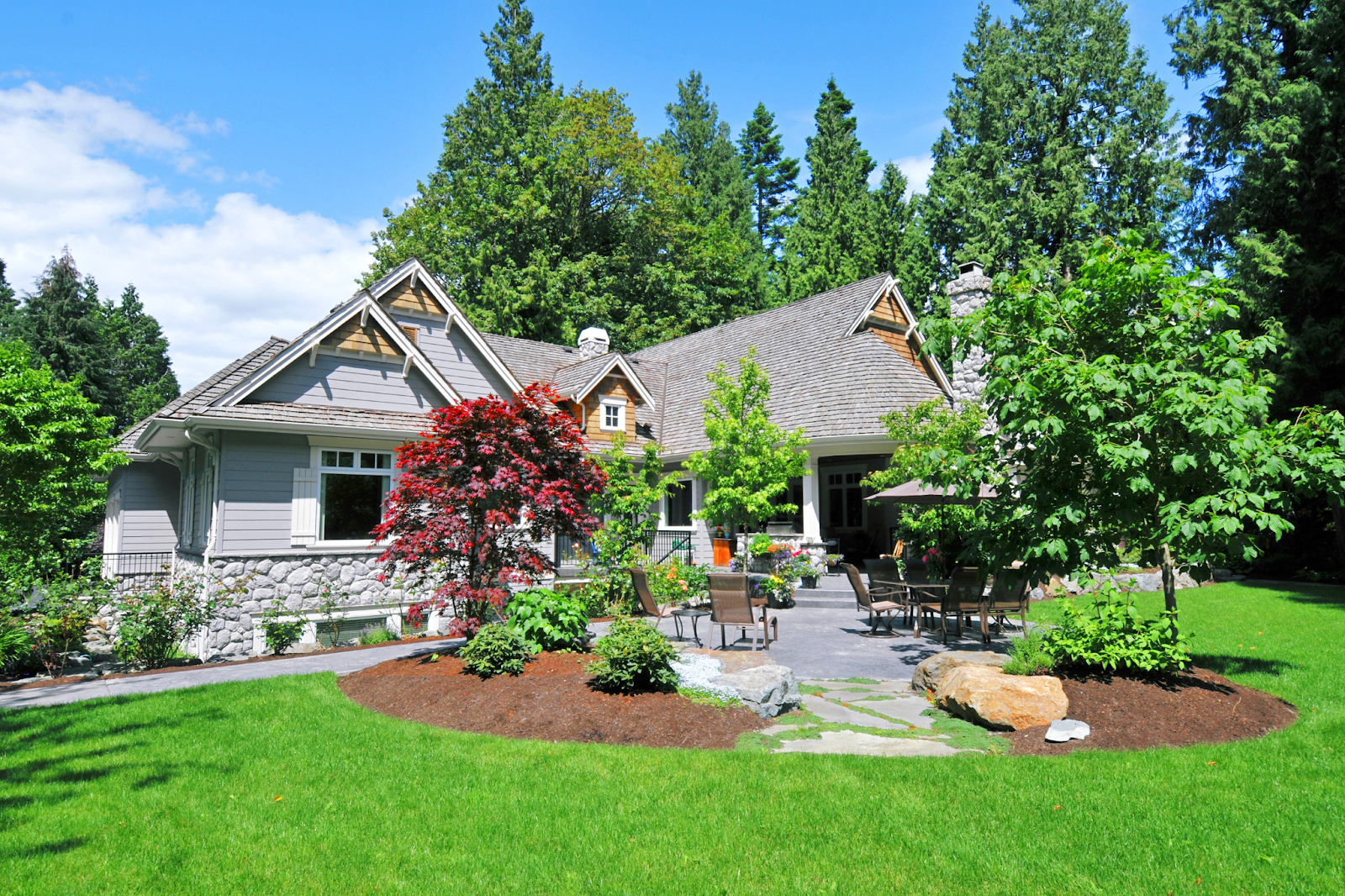 a house with a lot of trees in its yard