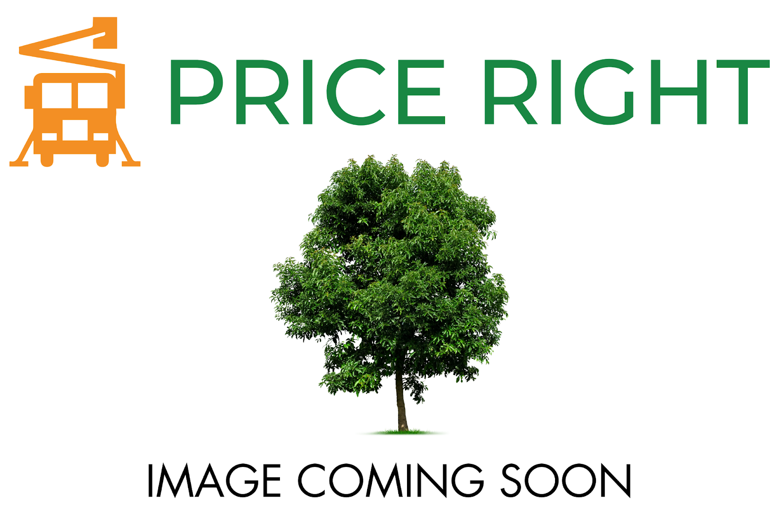 trees for sale image coming soon