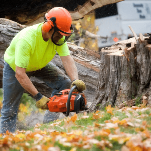 who-we-serve-tree-services